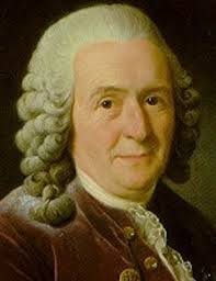 Carl von Linné.jpeg