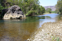 19927874 ahuillow.jpg