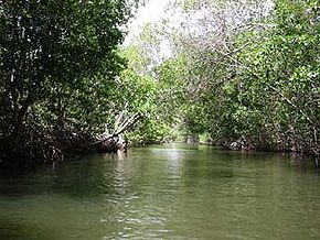 290px-Turuepano parque.jpg