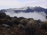Clima Parque Nacional Sierra de La Culata.jpeg