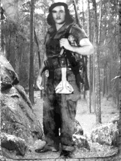 Julio Guerra Niebla.jpg