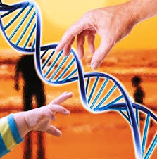 Prueba de ADN.jpg