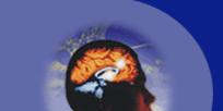 Protección cerebral.JPG