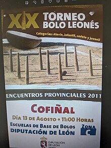 Bolos-Torneo Cofiñal.jpg