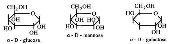 Figura 1. Diferentes estructuras de la molécula de glucosa.