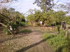 30821757 cayo.jpg