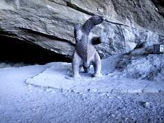 Cueva del milodon.jpg