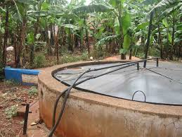Plantas de biogás se extienden por el campo cubano