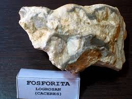 Fosforit.jpeg