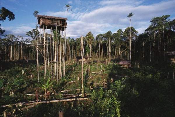 Archivo:Casa Koro.jpg