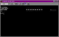 MS-DOS LTP1.jpg