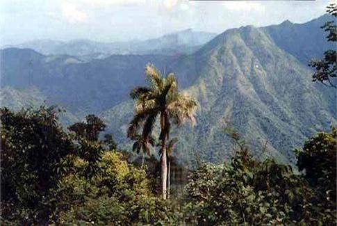 Parte sudoriental del país y abarca el territorio de las provincias Granma, Santiago de Cuba  y Guantánamo.