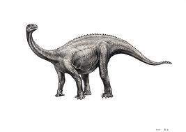 Isanosaurus2.jpg