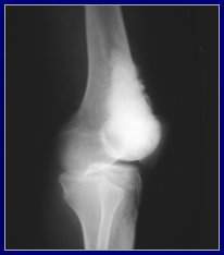 M1-T3-Fig5.jpg