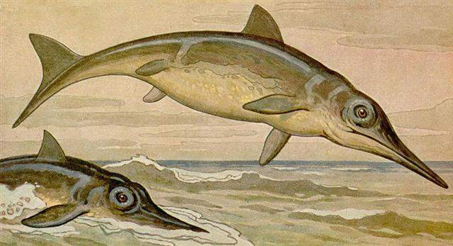 Archivo:Nuevos Ichthyosaurus. (Small).jpg