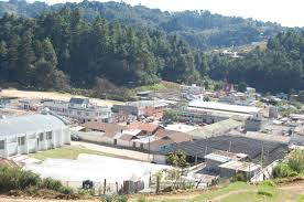 Palestina de los Altos.jpeg