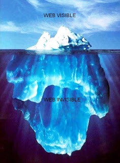 Web invisible & visible.JPG