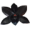 Portal:Orquídeas