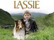 Lassie .jpeg