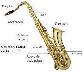 Partes del Saxofón.jpg