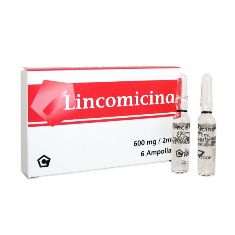 LINCOMICINA 600MG 2ML INYECTABLE 600x600.jpg