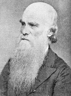 Alfred Higginson, 1808-1884.png