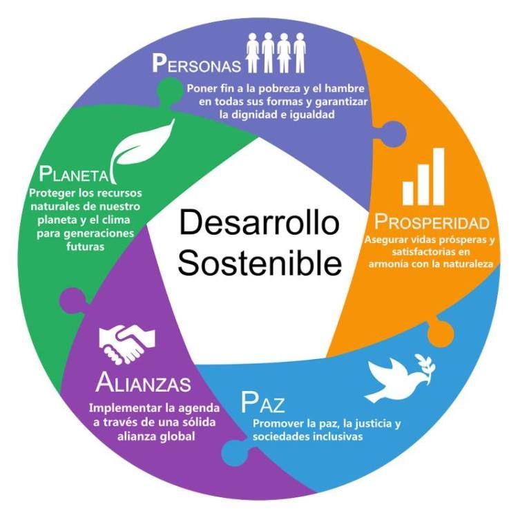 Proceso Desarrollo Sostenible Causas Y Consecuencias De La The Best