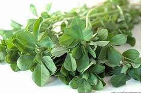 Archivo:Fenogreco ...jpg