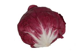 Archivo:Achicoria 4.jpeg