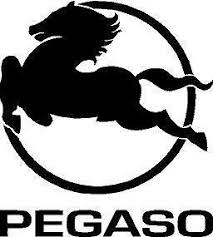 Logo pegaso1.jpg