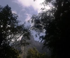 80739995 ahui 33.jpg