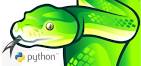 Python.jpeg