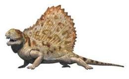 Pelicosaurio dinos.jpg