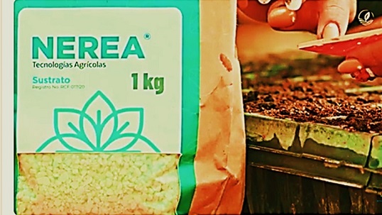 Archivo:NEREA foto ficha.jpg