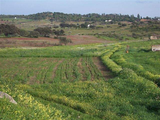 Archivo:Finca 1.jpg