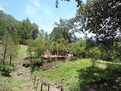 109133673 brea.jpg