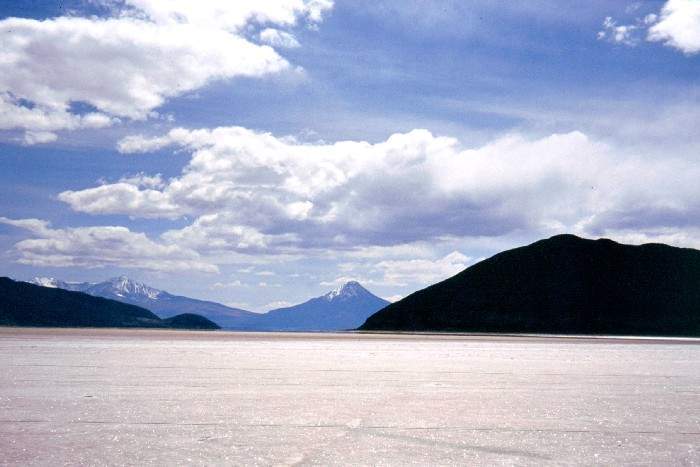 Archivo:Coipasa1.jpg