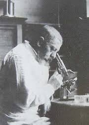 Joseph Jules Dejerine.PNG