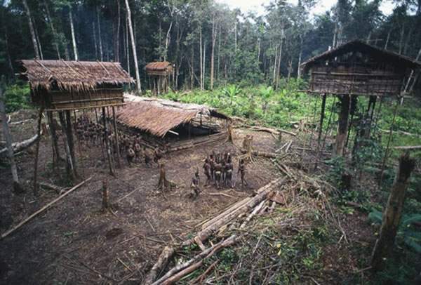 Archivo:Koro W 1.jpg