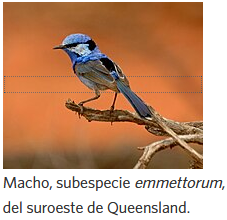 Sin títulohju809.png