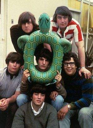 TheTurtles.jpg