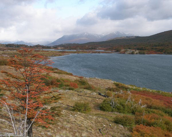 Archivo:Reserva Lago de Carlota.jpg
