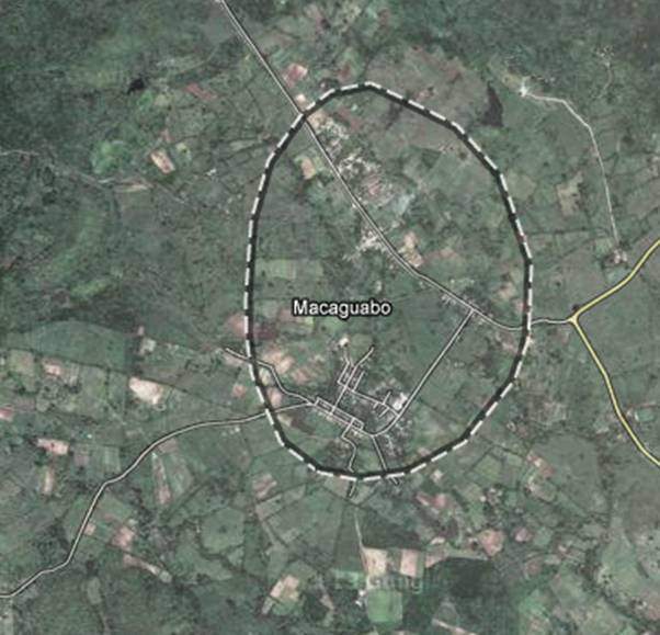 Archivo:Macaguabo.jpg