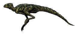Pisanosaurus.jpg