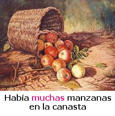 Adjetivos indefinidos.jpg