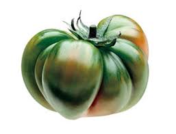 Tomate Raf1.jpg