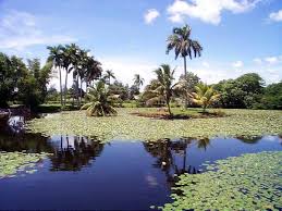 Humedales cubanos.jpg
