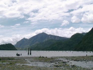 Archivo:Lago Pellaifa.jpeg