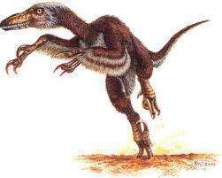Dromaeosauridae.jpg