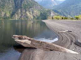 Archivo:Lago Pellaifa 2.jpeg